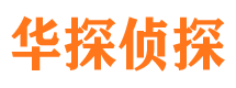 江汉侦探公司